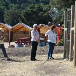 cambria2012_0056 (November 02, 2012)